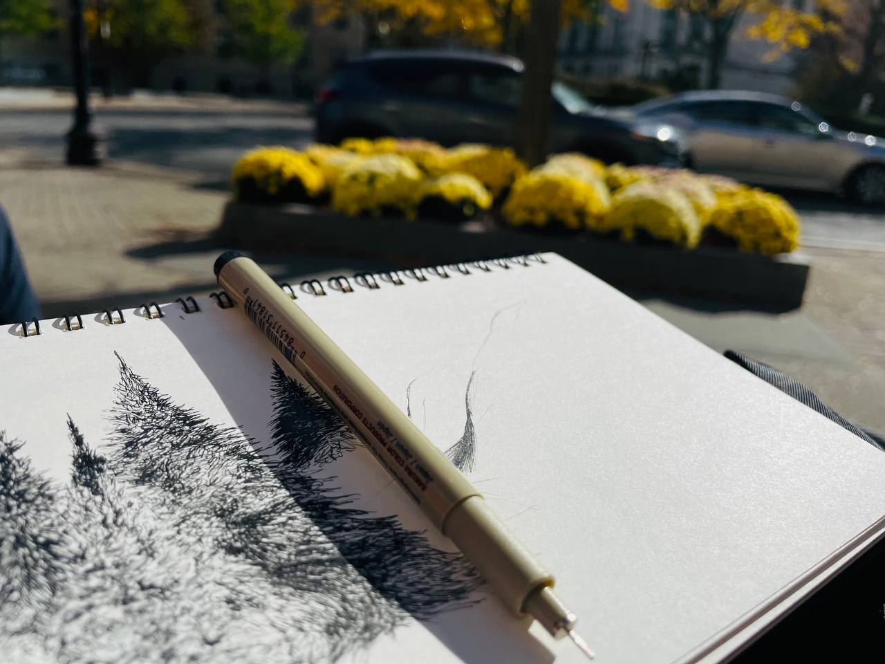 Autumn Draft