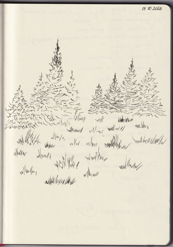 The Forest Learns Silence
