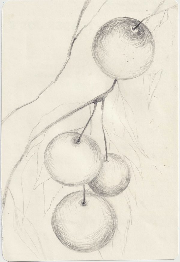 The Weight of Ripening