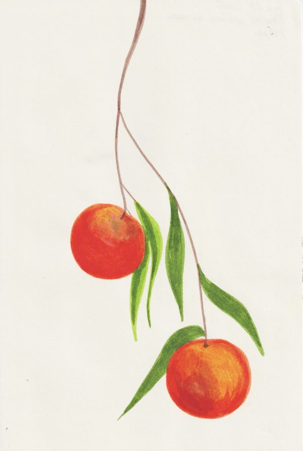 Peaches Without a Woman